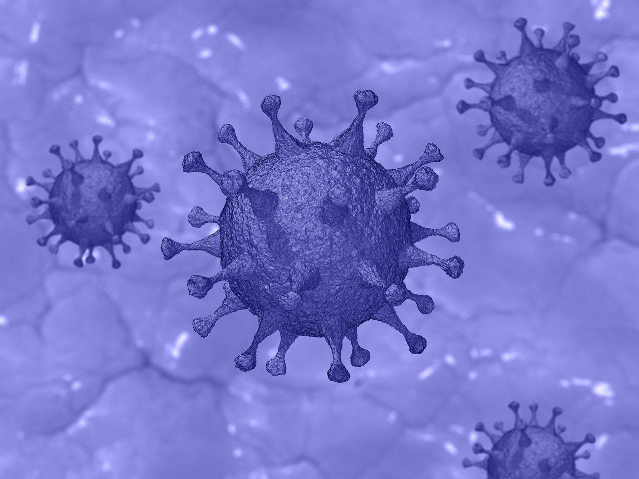 Korona Virüsü Esnasında Evde Yapabilecekleriniz